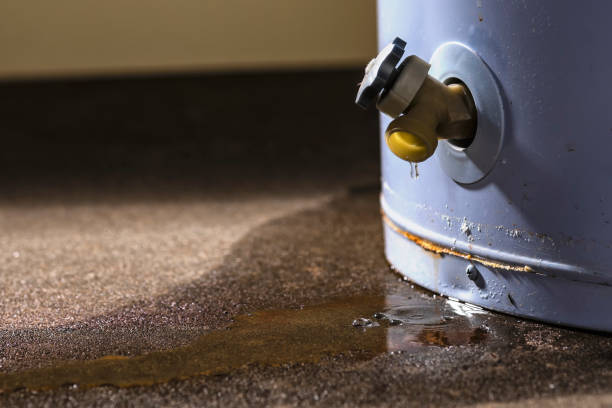 Best Carpet water damage restoration  in Bourbonnais, IL