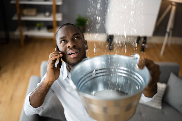 Best Emergency water damage restoration  in Bourbonnais, IL