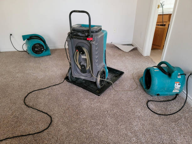 Best Local water damage restoration  in Bourbonnais, IL