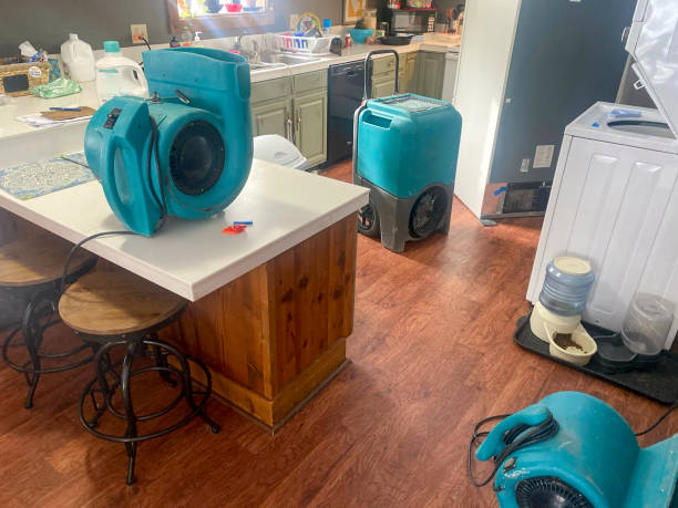 Best Mold removal after water damage  in Bourbonnais, IL