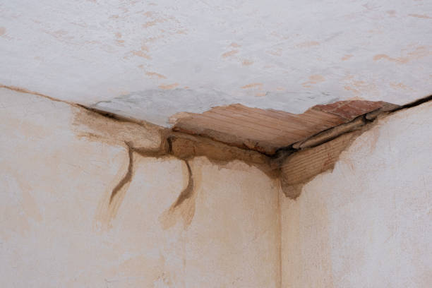 Best Fire Damage Restoration  in Bourbonnais, IL