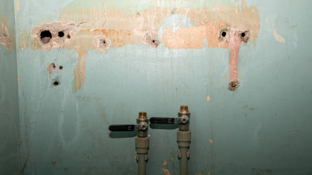 24/7 water damage repair in IL